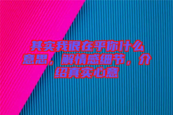 其實我很在乎你什么意思，解情感細節(jié)，介紹真實心意