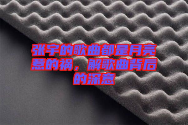 張宇的歌曲都是月亮惹的禍，解歌曲背后的深意