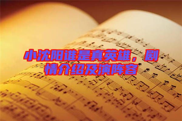 小沈陽誰是真英雄，劇情介紹及演陣容