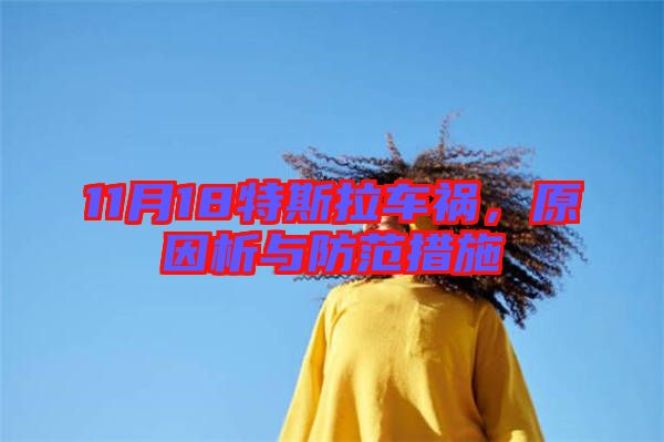 11月18特斯拉車禍，原因析與防范措施