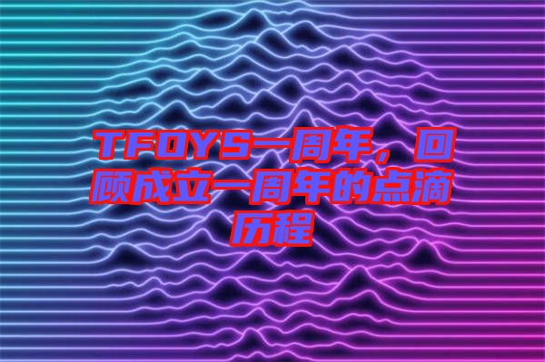 TFOYS一周年，回顧成立一周年的點滴歷程
