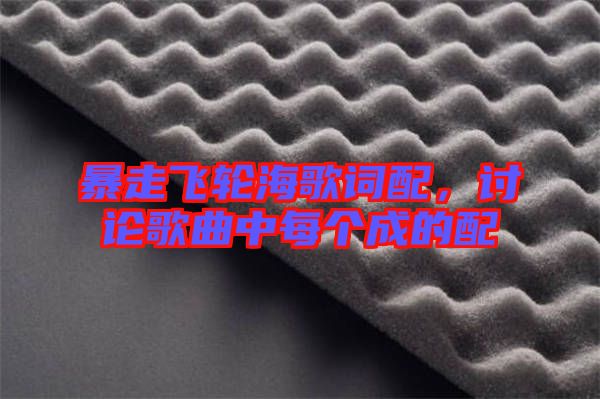 暴走飛輪海歌詞配，討論歌曲中每個成的配