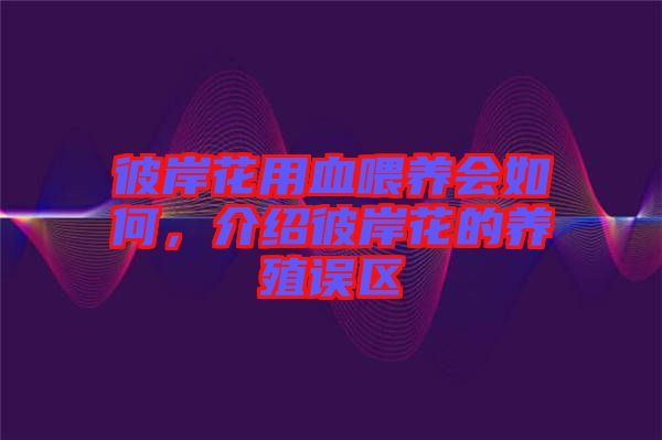 彼岸花用血喂養(yǎng)會(huì)如何，介紹彼岸花的養(yǎng)殖誤區(qū)