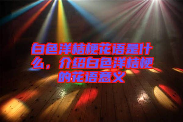 白色洋桔?；ㄕZ是什么，介紹白色洋桔梗的花語意義