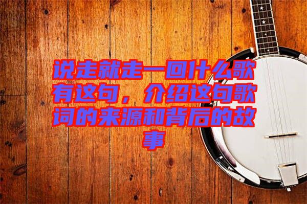 說走就走一回什么歌有這句，介紹這句歌詞的來源和背后的故事