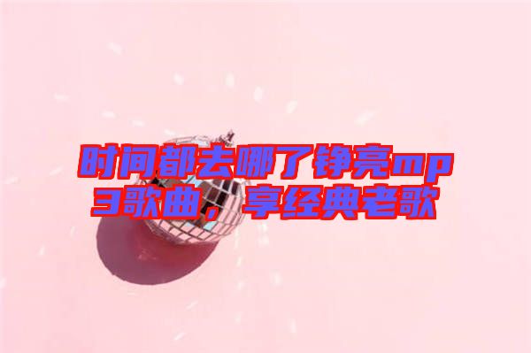 時(shí)間都去哪了錚亮mp3歌曲，享經(jīng)典老歌