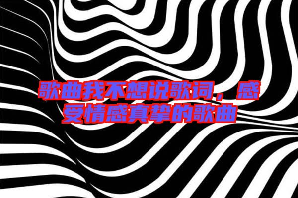 歌曲我不想說(shuō)歌詞，感受情感真摯的歌曲