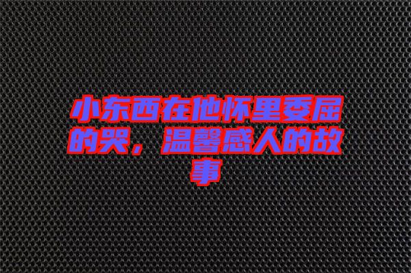 小東西在他懷里委屈的哭，溫馨感人的故事