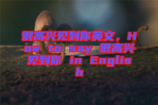 很高興見到你英文，How to say 很高興見到你 in English