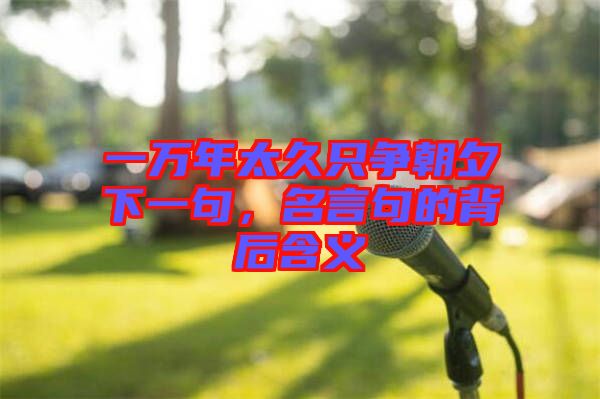 一萬(wàn)年太久只爭(zhēng)朝夕下一句，名言句的背后含義