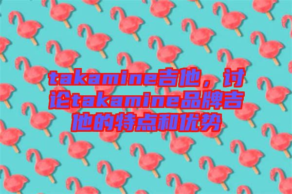 takamine吉他，討論takamine品牌吉他的特點和優(yōu)勢