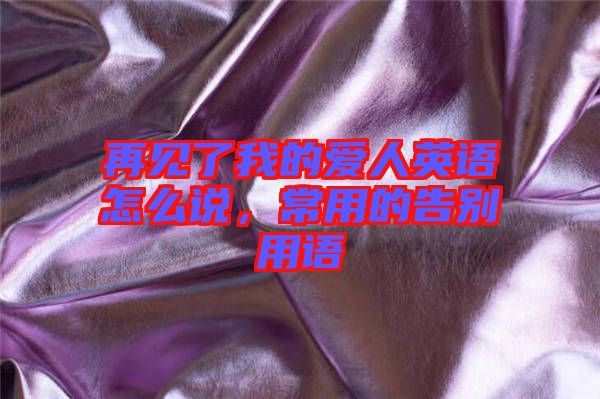 再見了我的愛人英語(yǔ)怎么說(shuō)，常用的告別用語(yǔ)