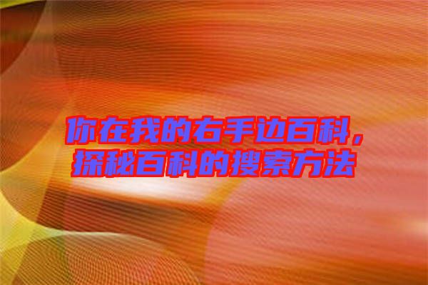 你在我的右手邊百科，探秘百科的搜索方法