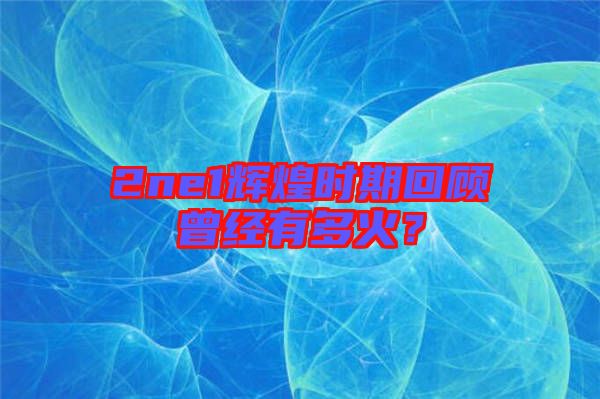 2ne1輝煌時(shí)期回顧曾經(jīng)有多火？