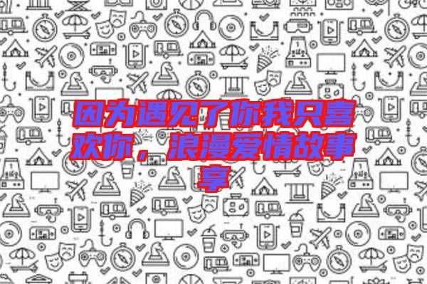 因?yàn)橛鲆?jiàn)了你我只喜歡你，浪漫愛(ài)情故事享
