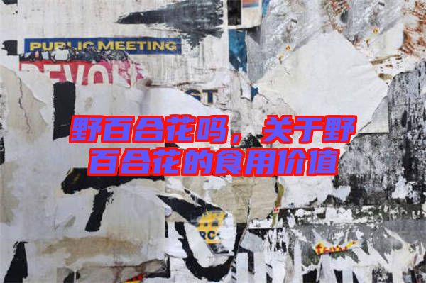 野百合花嗎，關(guān)于野百合花的食用價(jià)值