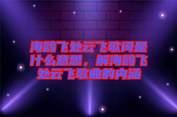 海鷗飛處云飛歌詞是什么意思，解海鷗飛處云飛歌曲的內(nèi)涵