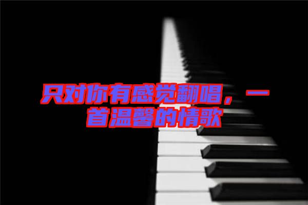 只對(duì)你有感覺(jué)翻唱，一首溫馨的情歌