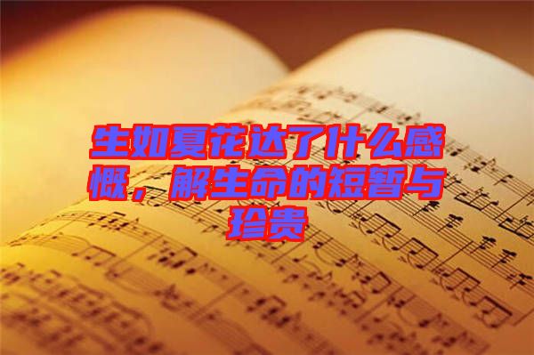 生如夏花達(dá)了什么感慨，解生命的短暫與珍貴