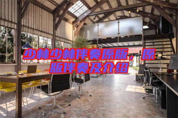 少林少林伴奏原版，原版伴奏及介紹