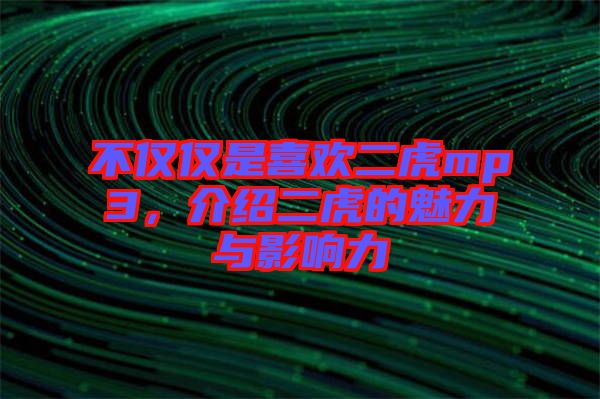 不僅僅是喜歡二虎mp3，介紹二虎的魅力與影響力