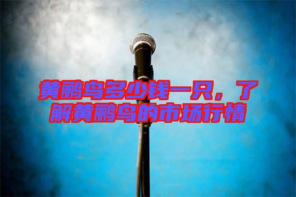 黃鸝鳥(niǎo)多少錢(qián)一只，了解黃鸝鳥(niǎo)的市場(chǎng)行情