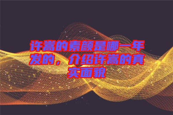 許嵩的素顏是哪一年發(fā)的，介紹許嵩的真實(shí)面貌