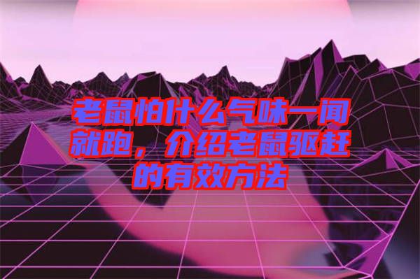 老鼠怕什么氣味一聞就跑，介紹老鼠驅(qū)趕的有效方法