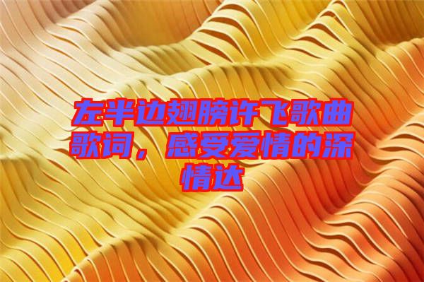 左半邊翅膀許飛歌曲歌詞，感受愛情的深情達