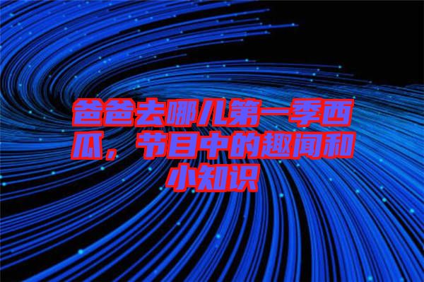 爸爸去哪兒第一季西瓜，節(jié)目中的趣聞和小知識(shí)