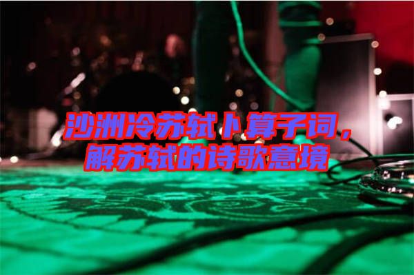 沙洲冷蘇軾卜算子詞，解蘇軾的詩歌意境