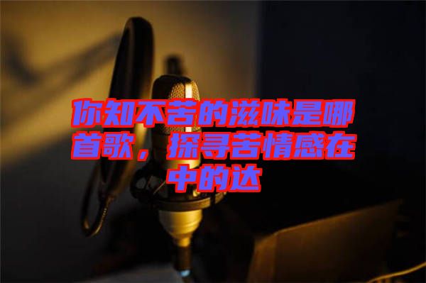 你知不苦的滋味是哪首歌，探尋苦情感在中的達(dá)