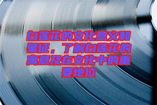 白蓮花的文化意義和象征，了解白蓮花的寓意及在文化中的重要地位