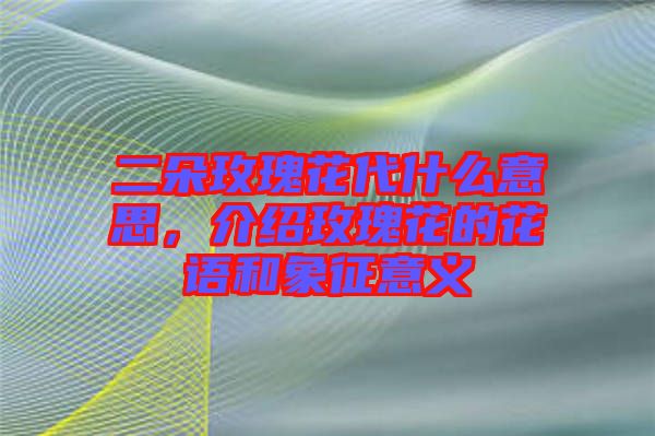 二朵玫瑰花代什么意思，介紹玫瑰花的花語和象征意義