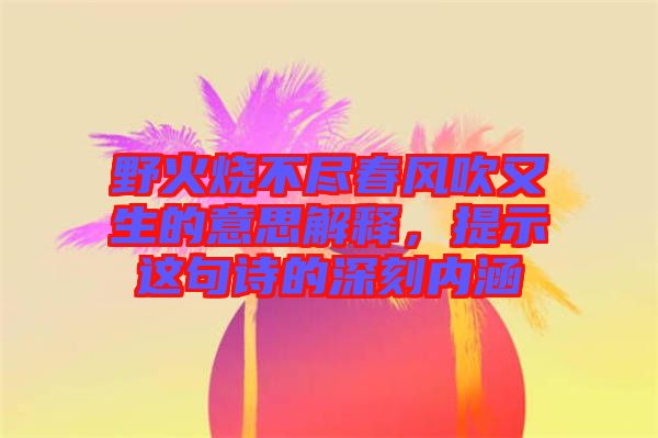 野火燒不盡春風(fēng)吹又生的意思解釋，提示這句詩的深刻內(nèi)涵