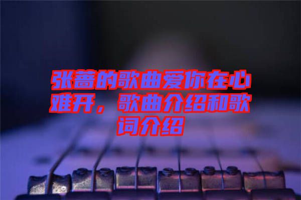 張薔的歌曲愛你在心難開，歌曲介紹和歌詞介紹