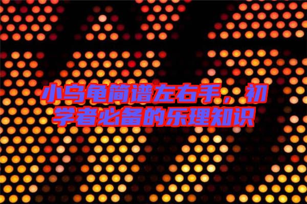 小烏龜簡譜左右手，初學(xué)者必備的樂理知識(shí)