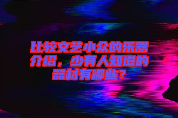 比較文藝小眾的樂(lè)器介紹，少有人知道的器材有哪些？