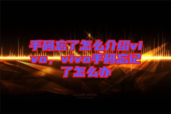 手碼忘了怎么介紹vivo，vivo手碼忘記了怎么辦