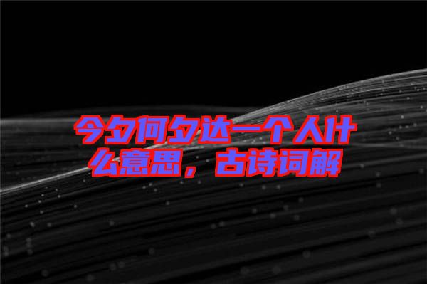 今夕何夕達一個人什么意思，古詩詞解