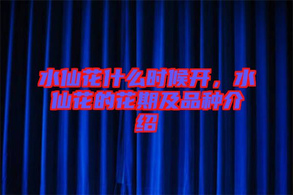 水仙花什么時候開，水仙花的花期及品種介紹