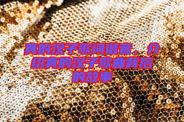 真的漢子歌詞諧音，介紹真的漢子歌曲背后的故事