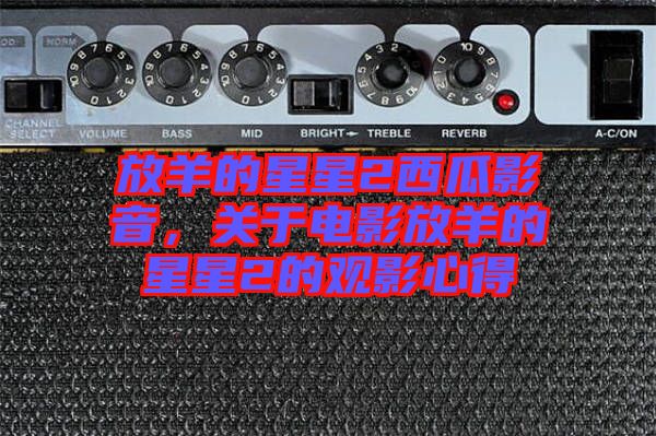 放羊的星星2西瓜影音，關(guān)于電影放羊的星星2的觀影心得