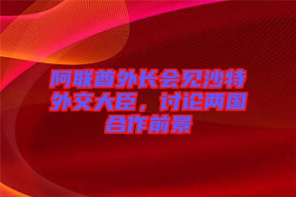 阿聯(lián)酋外長會見沙特外交大臣，討論兩國合作前景