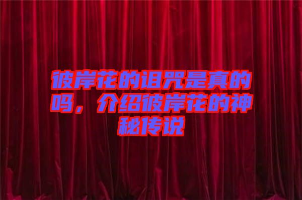 彼岸花的詛咒是真的嗎，介紹彼岸花的神秘傳說(shuō)