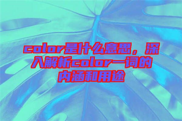 color是什么意思，深入解析color一詞的內(nèi)涵和用途