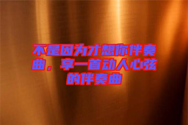 不是因為才想你伴奏曲，享一首動人心弦的伴奏曲