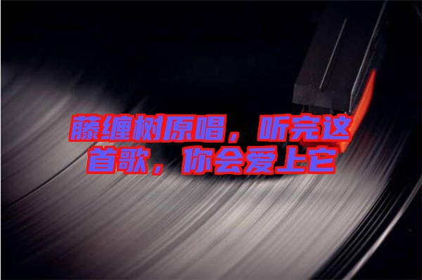 藤纏樹原唱，聽完這首歌，你會愛上它