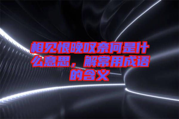 相見恨晚嘆奈何是什么意思，解常用成語的含義