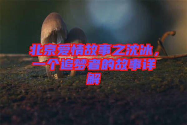 北京愛情故事之沈冰，一個(gè)追夢(mèng)者的故事詳解